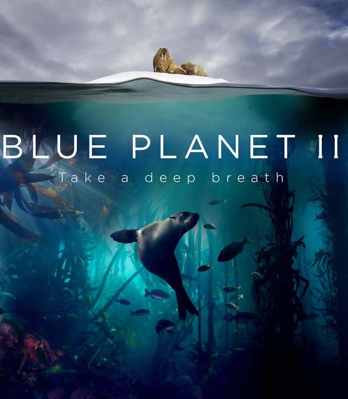 The Blue planet II podcast logo